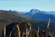 28 Vista  verso la 'Regina' delle Orobie...